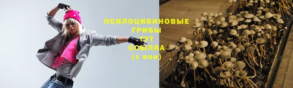 герыч Арсеньев