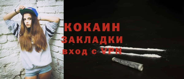 индика Алексеевка