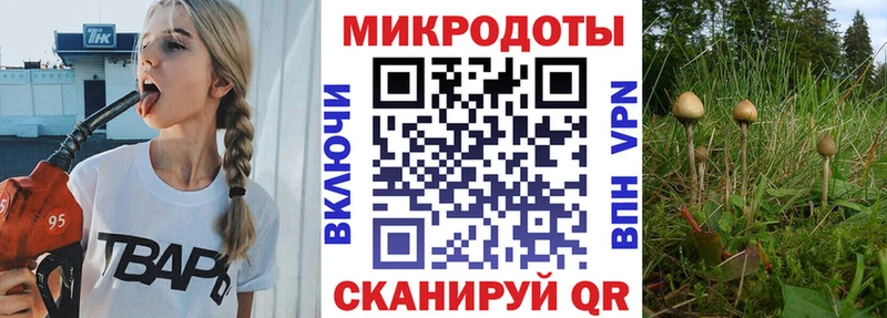 Купить  Старая Русса  Галлюциногенные грибы Psilocybe 